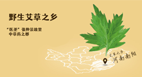 艾草越嫩越好，還是越久越好？悄悄告訴你：艾草這樣用，效果最好！