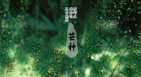 【二十四節(jié)氣灸】芒種節(jié)氣，培土補(bǔ)脾、養(yǎng)陰生津！艾灸這些穴位事半功倍！