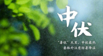 【三伏養(yǎng)生】至熱中伏，吃三樣，喝三樣，三大禁忌千萬別犯，小心落下病根！