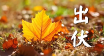 【三伏養(yǎng)生】出伏后做好養(yǎng)生很關(guān)鍵！一行要注意！