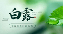 【二十四節(jié)氣灸】白露涼爽，養(yǎng)心肝脾胃、滋陰潤肺是關(guān)鍵！