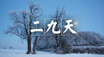 【三九養(yǎng)生】冬二九，扶陽補腎氣，讓你陽氣充足一整年！