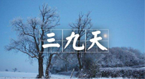 【三九養(yǎng)生】冬三九，三九第三灸，一年中最后艾灸黃金9天！