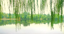【養(yǎng)生知識】已入五九，六九將至，五九的養(yǎng)生秘訣，你知道嗎？