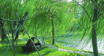 【養(yǎng)生知識】元宵入六九，春季已至，六九天的養(yǎng)生知識你知道多少？