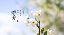 【二十四節(jié)氣灸】春分，平分了大地晝夜；艾灸，平衡了身體陰陽！