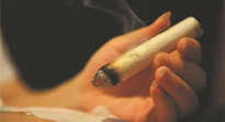 【艾灸知識(shí)】春暖花開，衣衫漸薄，再不減肥，身上的肉肉可藏不住了！