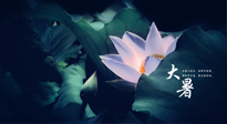 【二十四節(jié)氣灸】趁大暑好好艾灸，才不辜負三伏天的驕陽！