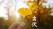 【艾灸三伏天】出伏啦！三防三宜兩穴位，防止身體“秋后算賬”！