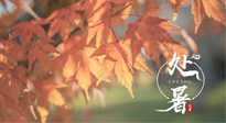 【二十四節(jié)氣灸】處暑，冬病夏治倒計時！秋涼真的要來了！