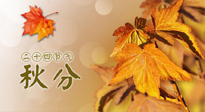 【二十四節(jié)氣灸】秋分節(jié)氣，平衡陰陽，巧用艾灸，潤燥養(yǎng)肺是關鍵！