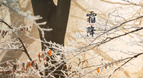【二十四節(jié)氣灸】霜降節(jié)氣：艾灸四穴，護您冬天安然無恙！
