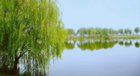 【艾灸知識(shí)】春三月，必艾灸穴位：疏肝理氣，養(yǎng)血調(diào)神！