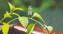 【二十四節(jié)氣灸】谷雨節(jié)氣脾土濕，艾灸降濕濁，脾旺不受邪！
