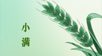 【二十四節(jié)氣灸】小滿(mǎn)節(jié)氣記得艾灸，悠悠長(zhǎng)夏，健康度過(guò)！